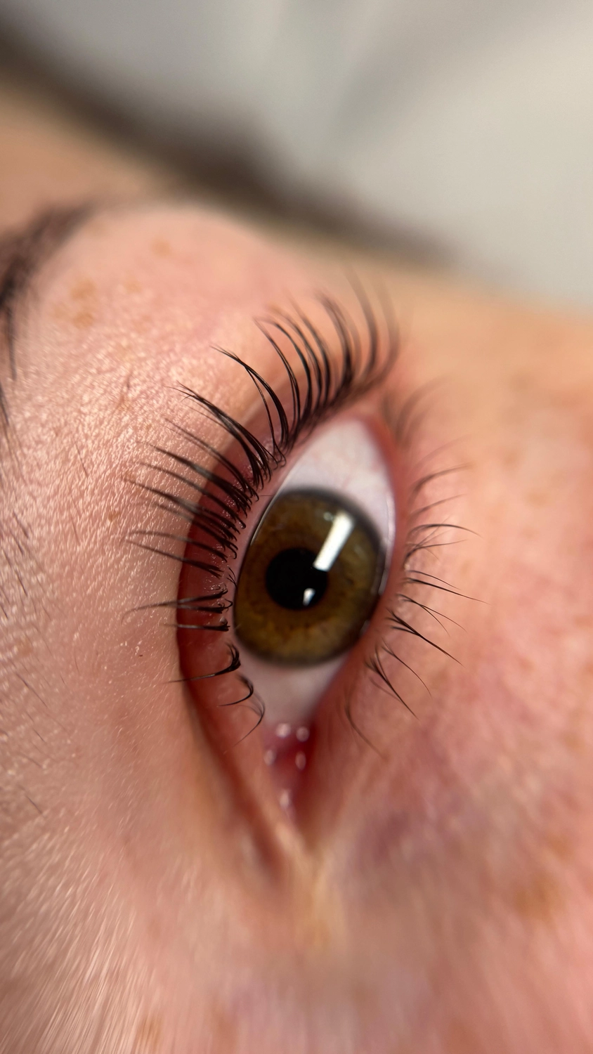 Bebe Aesthetics – Beauty & SPA – Wimpern- und Augenbrauenlifting